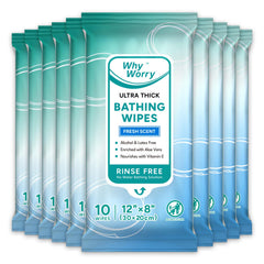 WhyWorry paquete frontal mostrando 100 toallitas con aroma fresco y fácil acceso