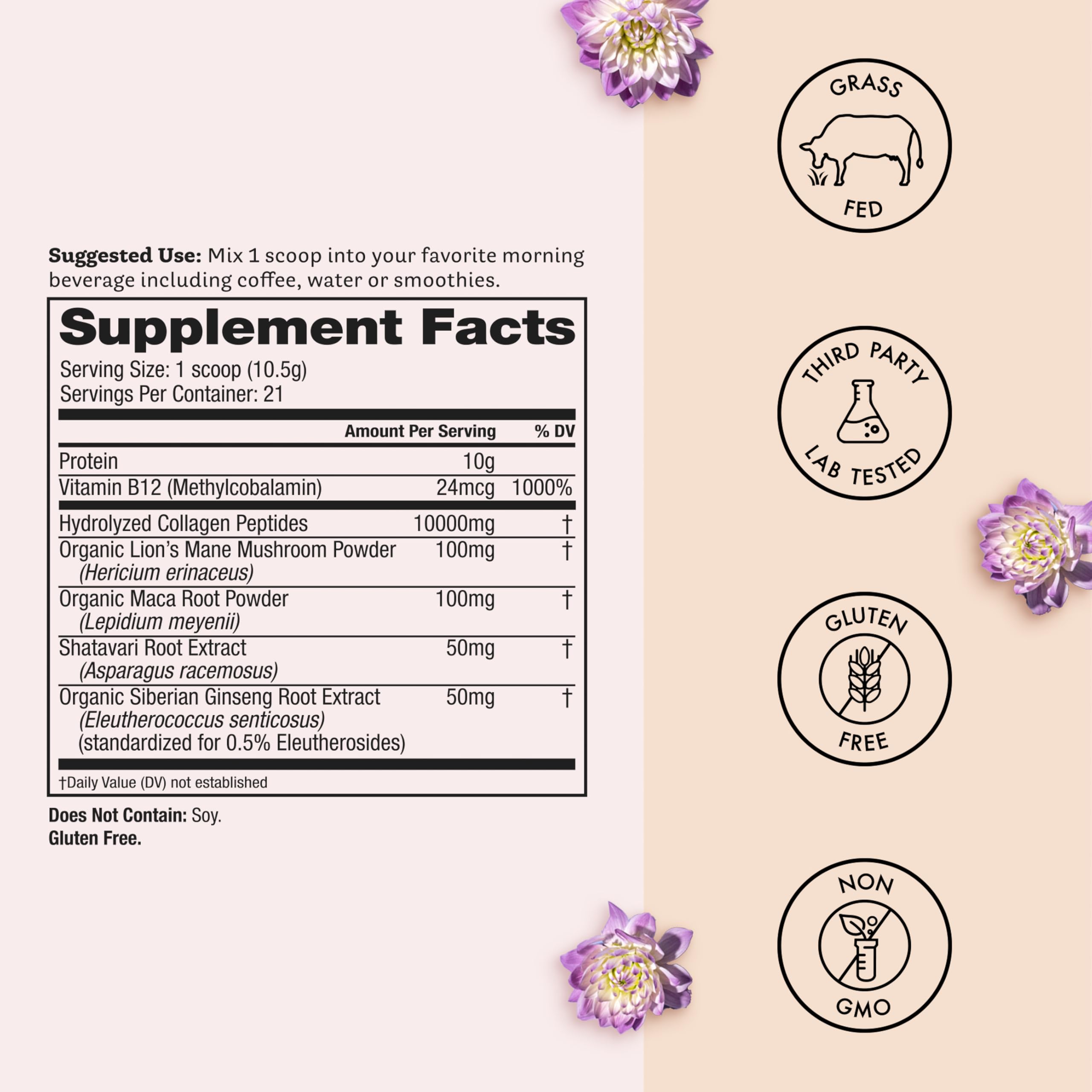 Winged Wellness ingredientes clave maca y Lion's Mane en primer plano para vitalidad