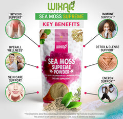 WIXAR NATURALS polvo integrado en batido saludable, facilita añadir nutrientes