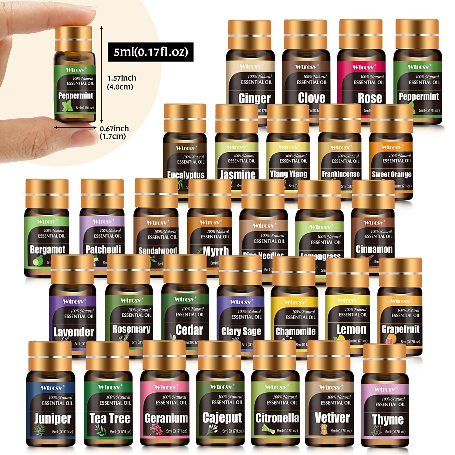 Wtrcsv caja abierta mostrando los 30 frascos, ideal para regalar