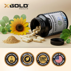 Cápsulas X Gold Health sobre mesa en escena lifestyle que sugiere rutina diaria