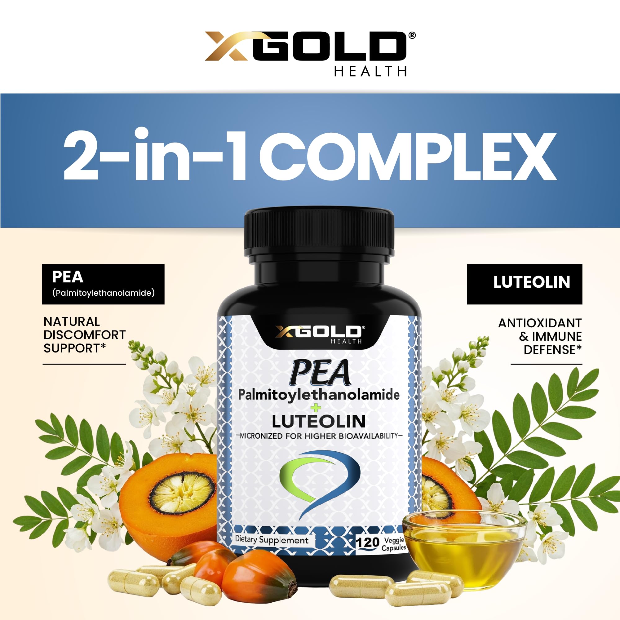 X Gold Health polvo micronizado de PEA, mayor biodisponibilidad visible en textura