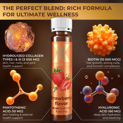 XParadigm Puritas Corpus primer plano del vial resaltando textura y contenido