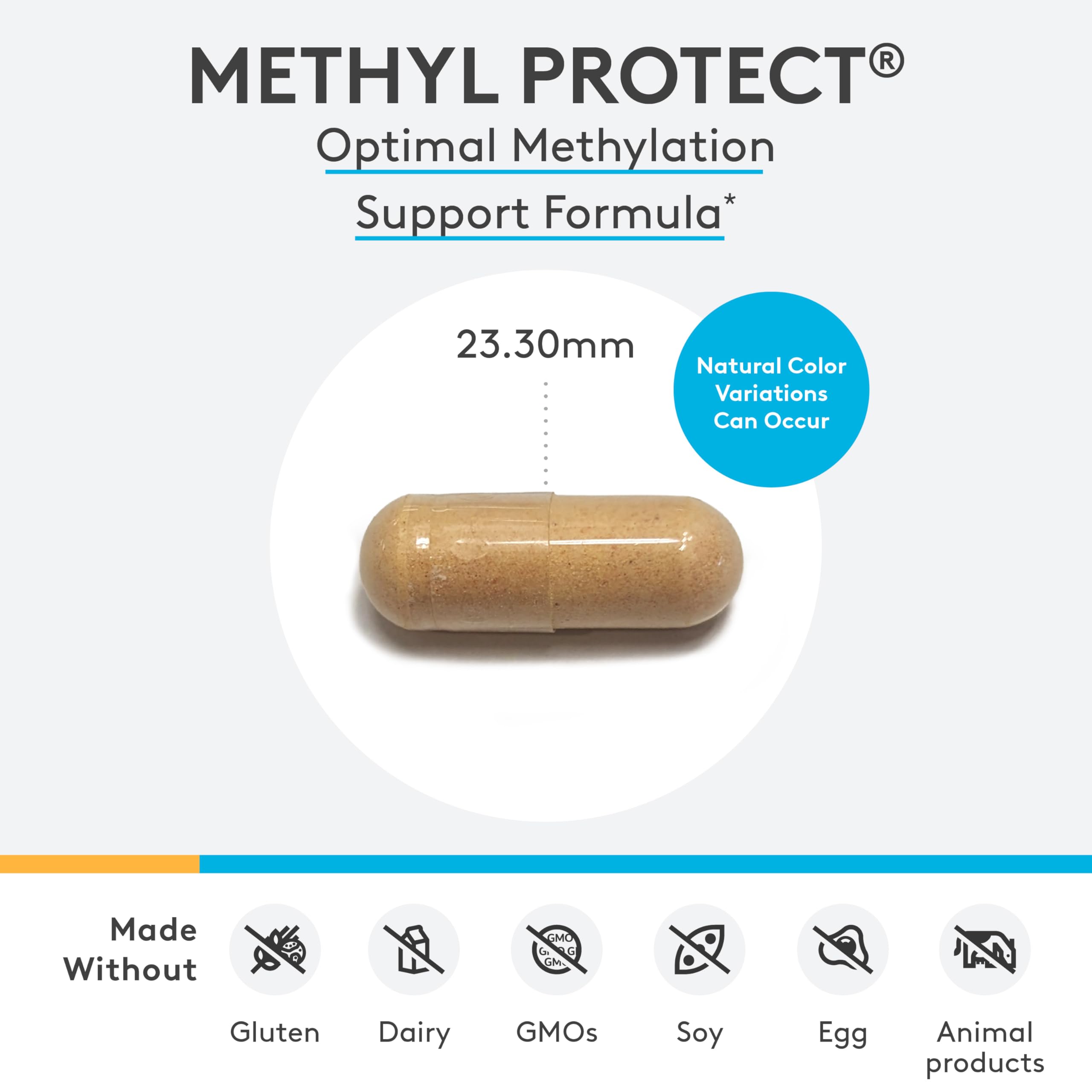 XYMOGEN Methyl Protect capsules close-up, emphasizing bioactive B vitamins.