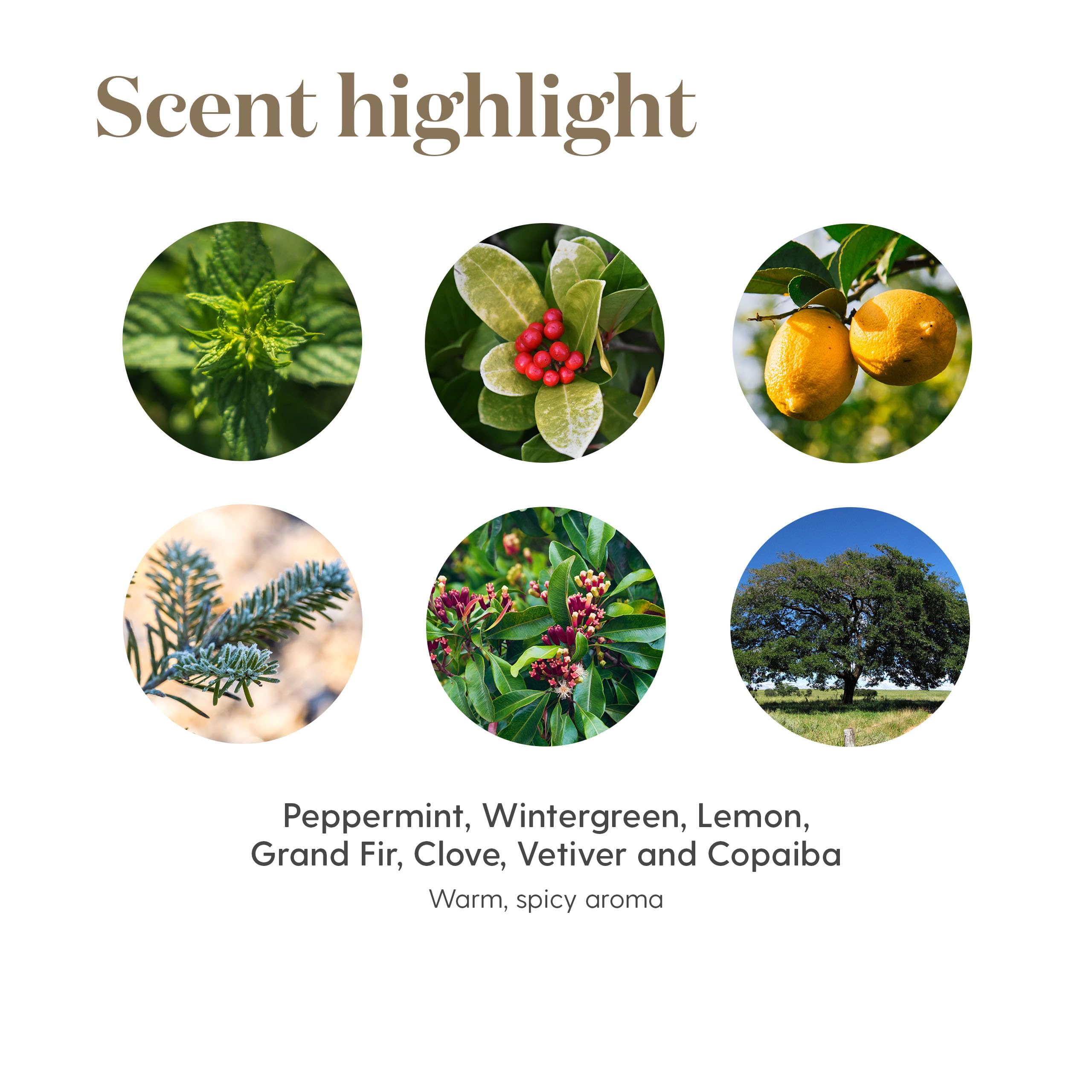 Young Living Deep Relief en neceser de viaje listo para uso en desplazamientos