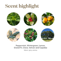 Young Living Deep Relief en neceser de viaje listo para uso en desplazamientos
