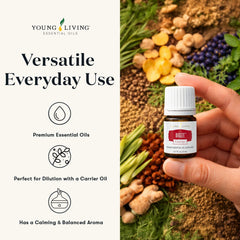 Young Living DiGize en difusor en sala, crea ambiente relajante
