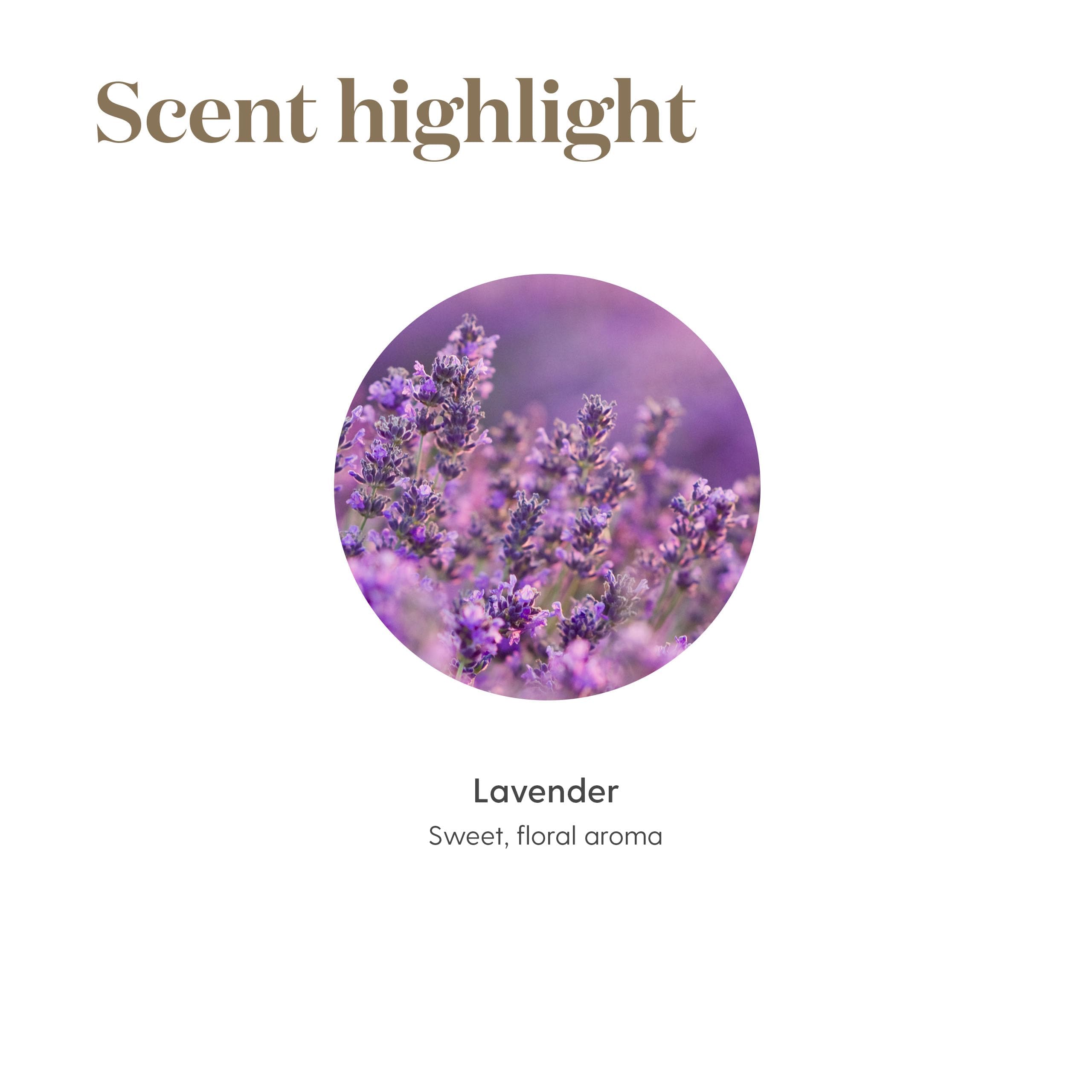 Young Living frasco junto a difusor creando ambiente relajante