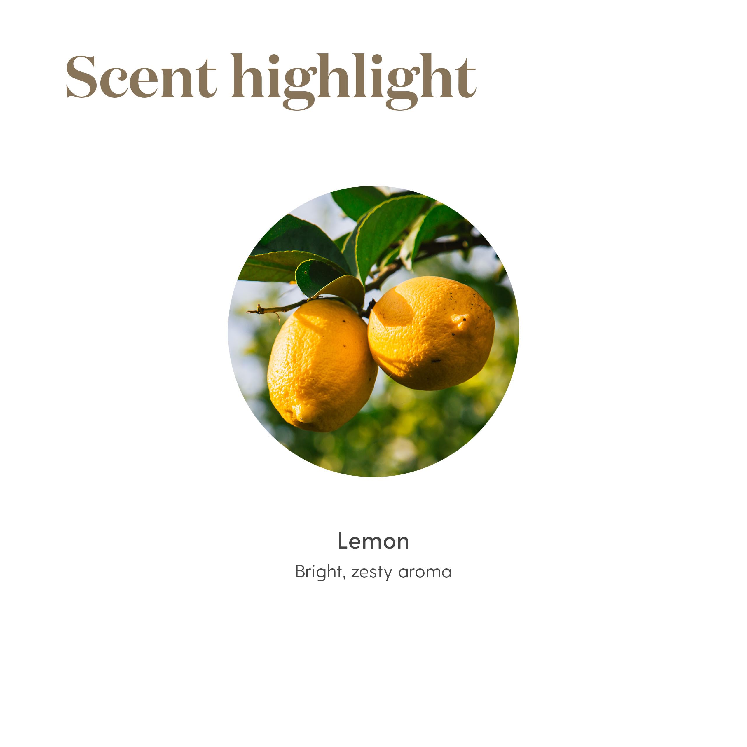 Young Living aceite junto a limones frescos resaltando fragancia natural