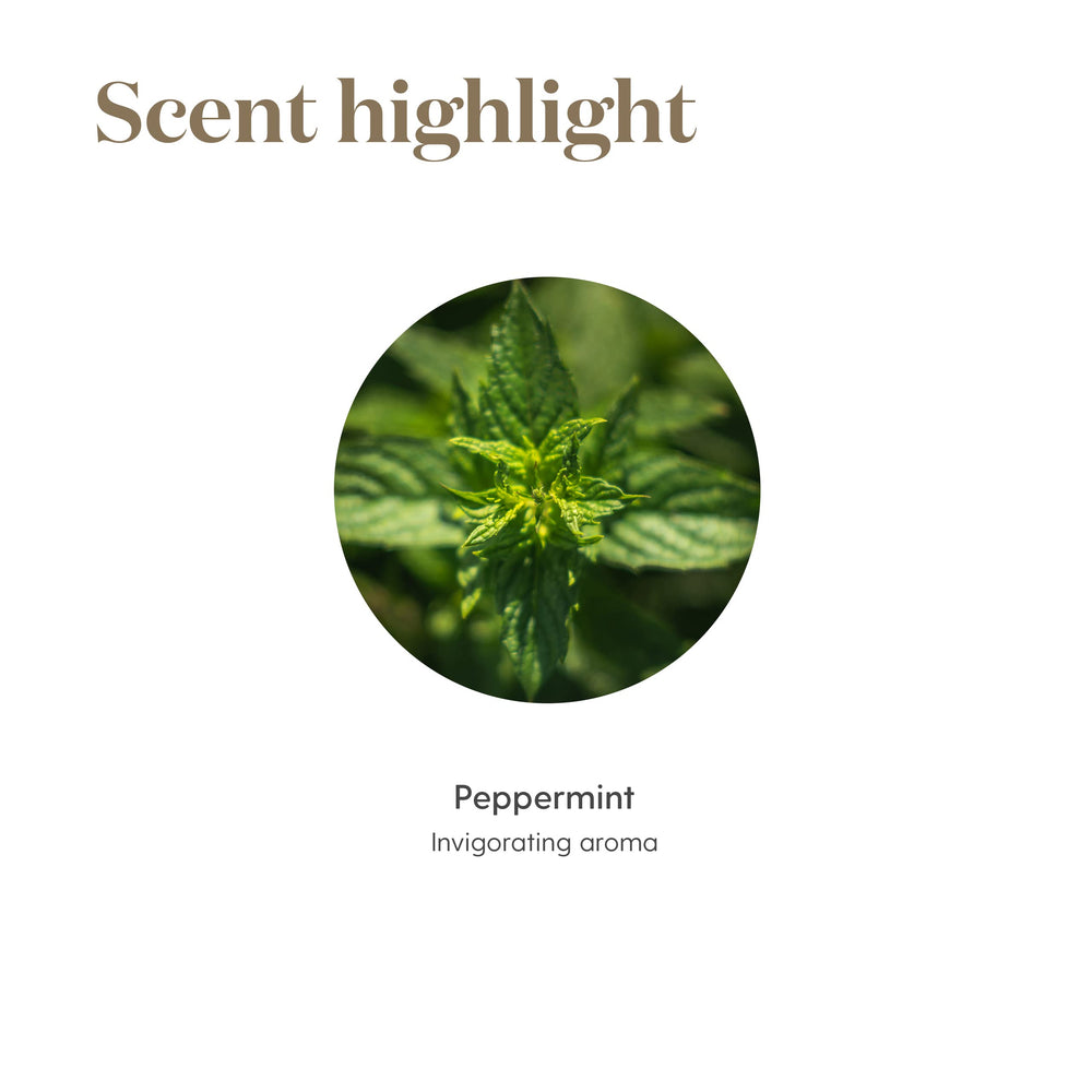 Young Living menta junto a una regla para comparar tamaño del frasco