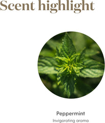 Young Living Peppermint aplicado con masaje diluido para sensación fría y reconfortante