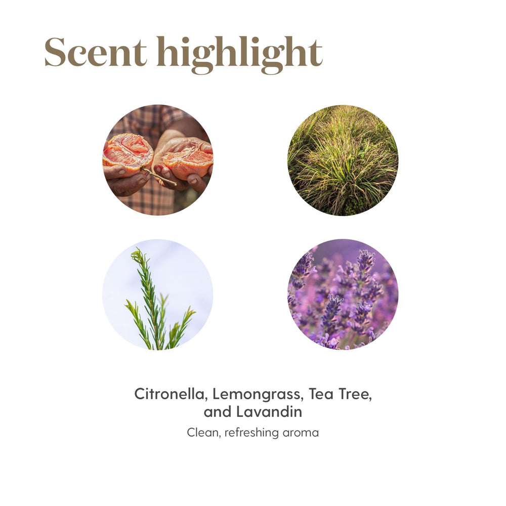 Ambiente hogareño fresco con Young Living Purification generando bienestar