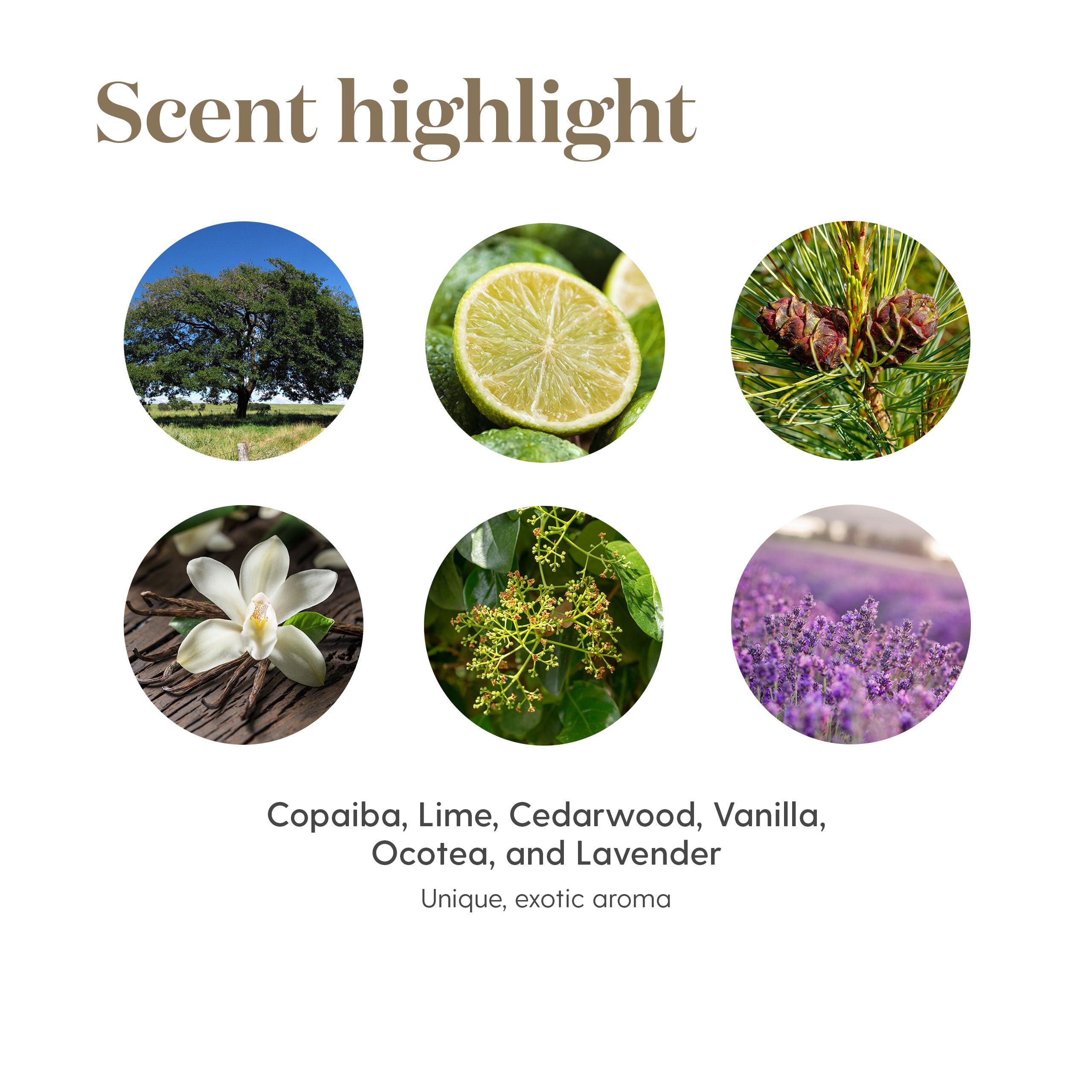Young Living ambiente hogareño con producto en mesa creando aroma acogedor