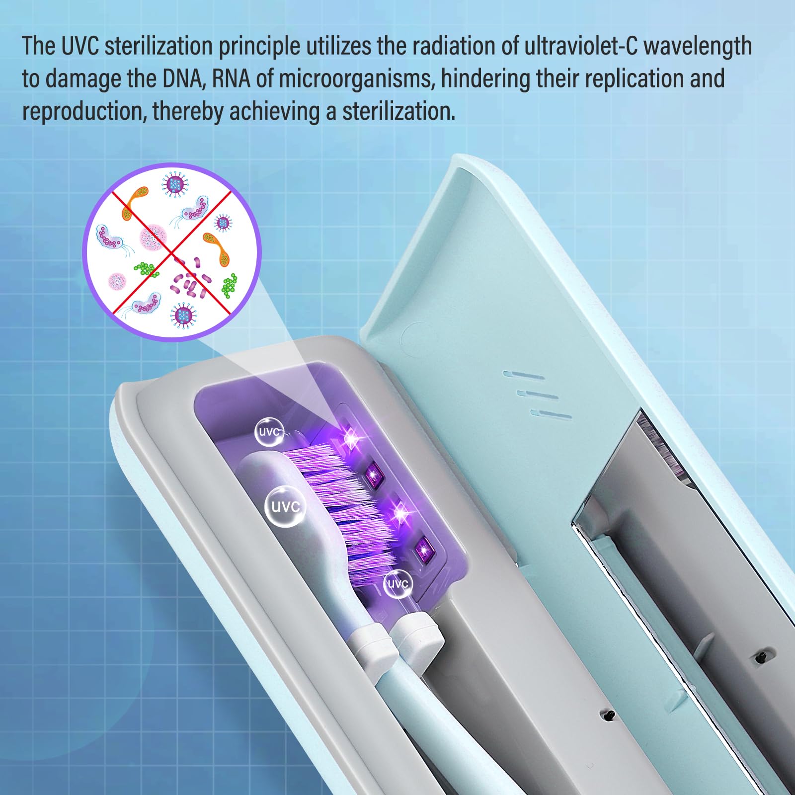 YourMate interior con cabezal de cepillo dentro, mantiene higiene y orden
