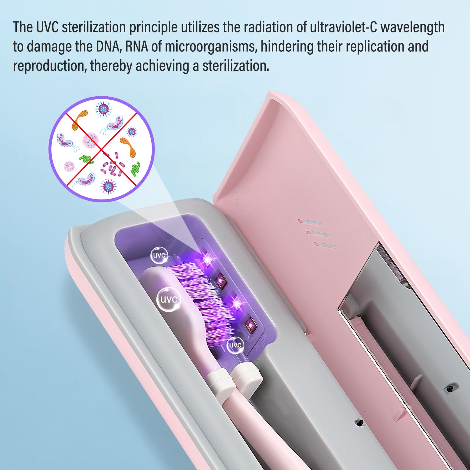 YourMate interior con lámpara UVC visible que optimiza la desinfección