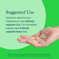 Close-up de hongos incluidos en Youtheory mostrando origen