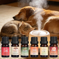 Yurnfkdn salón con perro relajado gracias a ambiente aromático