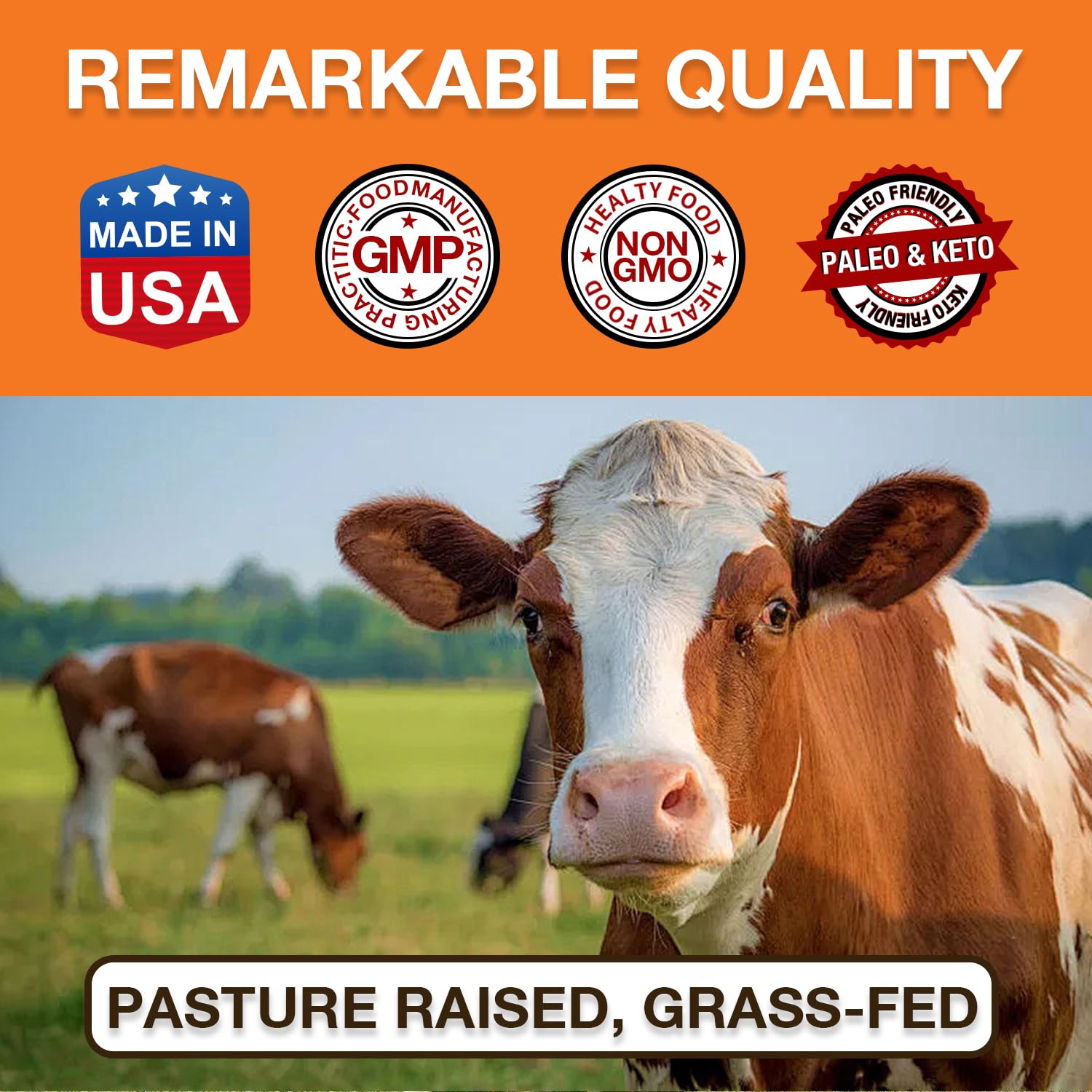 Sopa con caldo de huesos Zammex para una comida reconfortante y nutritiva