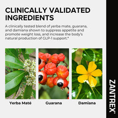 softgels Zantrex Black al lado de una regla para comparar tamaño y dosificación clara