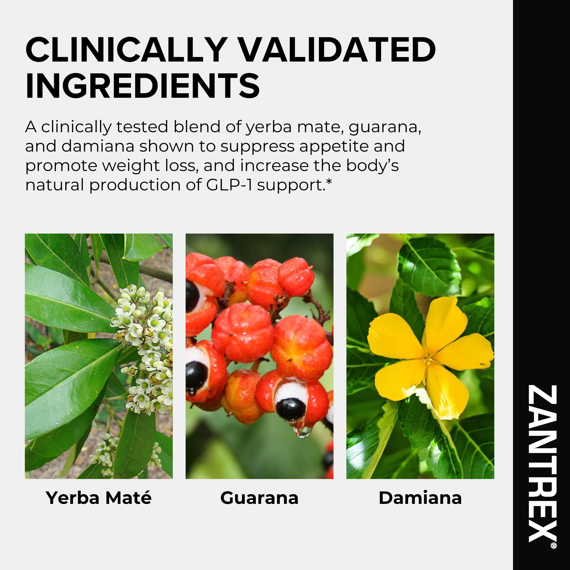 Etiqueta Zantrex Black con información de ingredientes y certificaciones