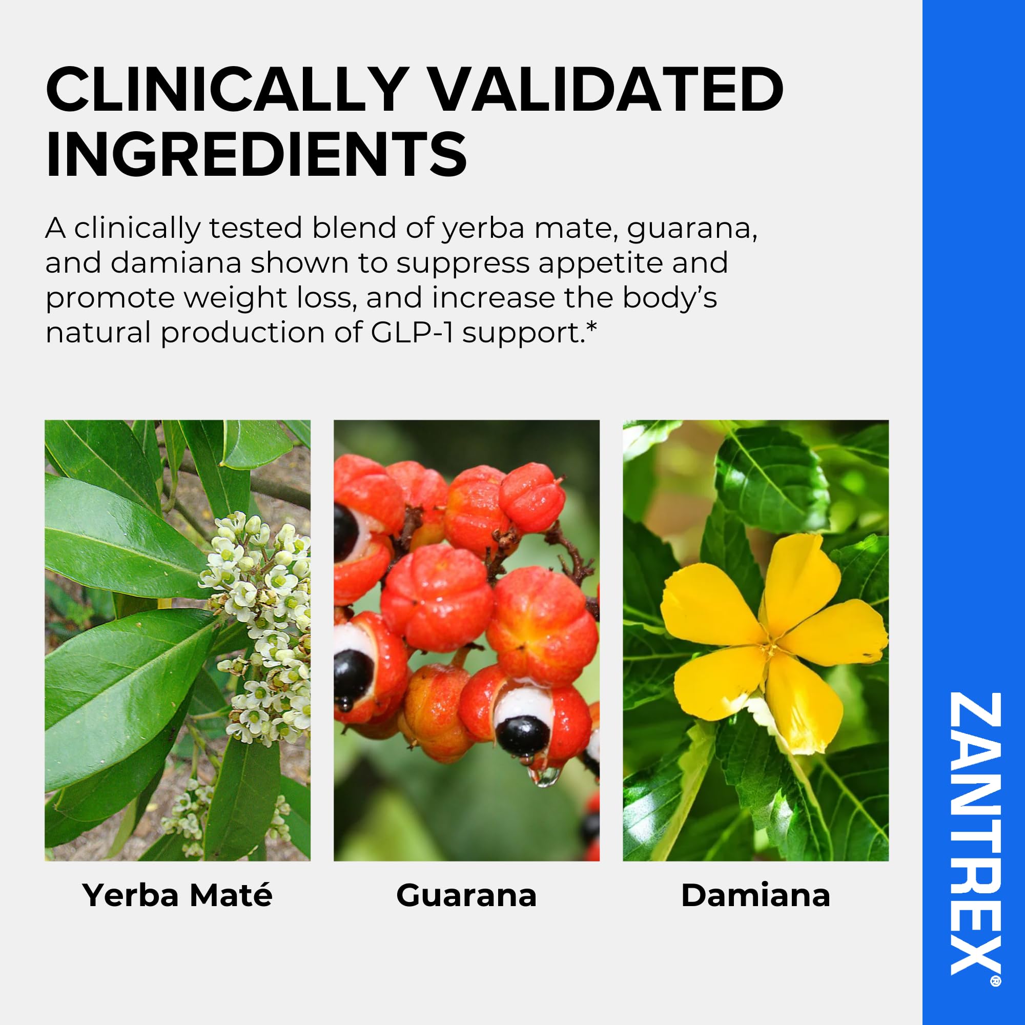 Zantrex etiqueta con información nutricional y uso recomendado