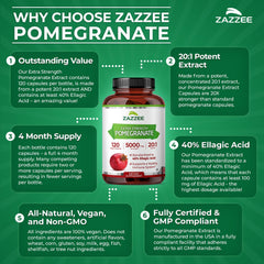 Zazzee cápsula abierta enseñando contenido concentrado y potencia
