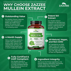 Zazzee cápsulas en uso con vaso de agua para tomar en rutina diaria