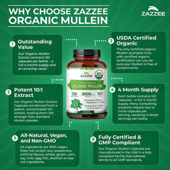 Zazzee cápsulas extendidas sobre mesa muestra cantidad por envase
