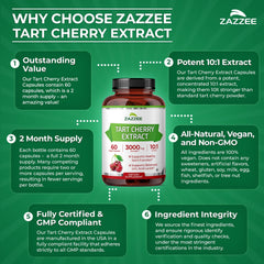 Zazzee comparación de tamaño junto a manos para ver escala y porción