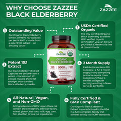 Zazzee cápsula junto a moneda para comparar tamaño y dosificación precisa