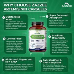 Zazzee etiqueta nutricional legible resaltando ingredientes y dosis