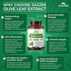 Zazzee frasco abierto con cápsulas dispuestas para visualizar cantidad