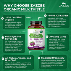 zazzee controles de calidad en fábrica demostrando producción segura