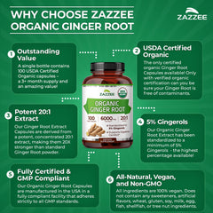 Zazzee raíz de jengibre fresca ilustrando origen natural y fuerza del extracto