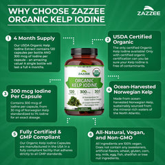 Zazzee producto en mesa diaria para visualizar integración en rutina