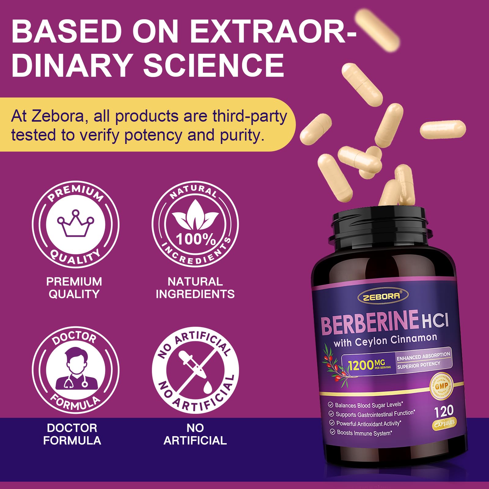 ZEBORA ingredientes destacados: canela y ALA para apoyo antioxidante