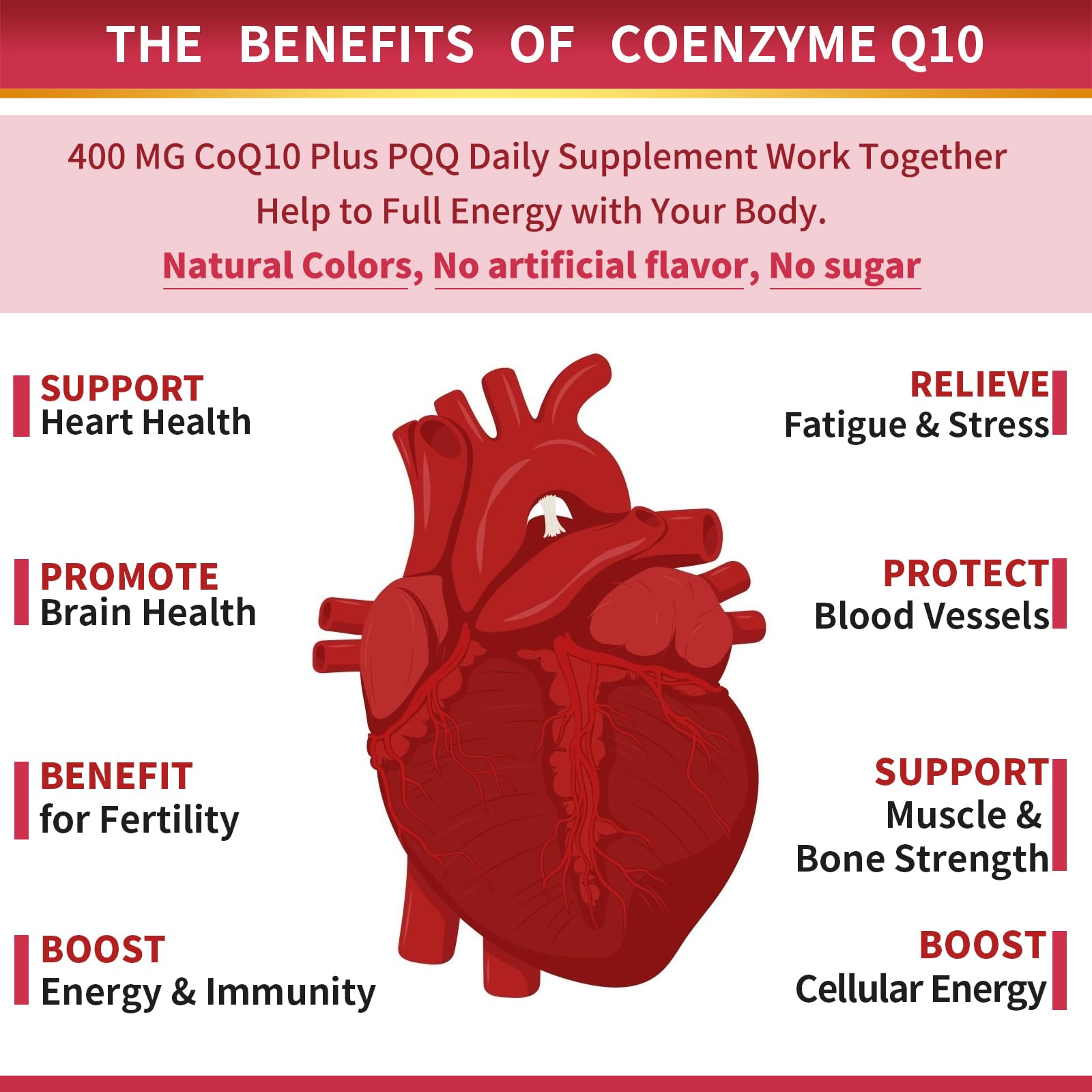 ZEBORA etiqueta con ingredientes resaltando CoQ10, PQQ y omega-3