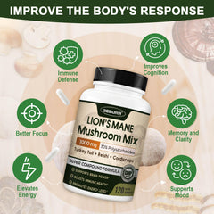 ZEBORA Extracto de fruto del hongo: potencia bioactiva para rendimiento cognitivo