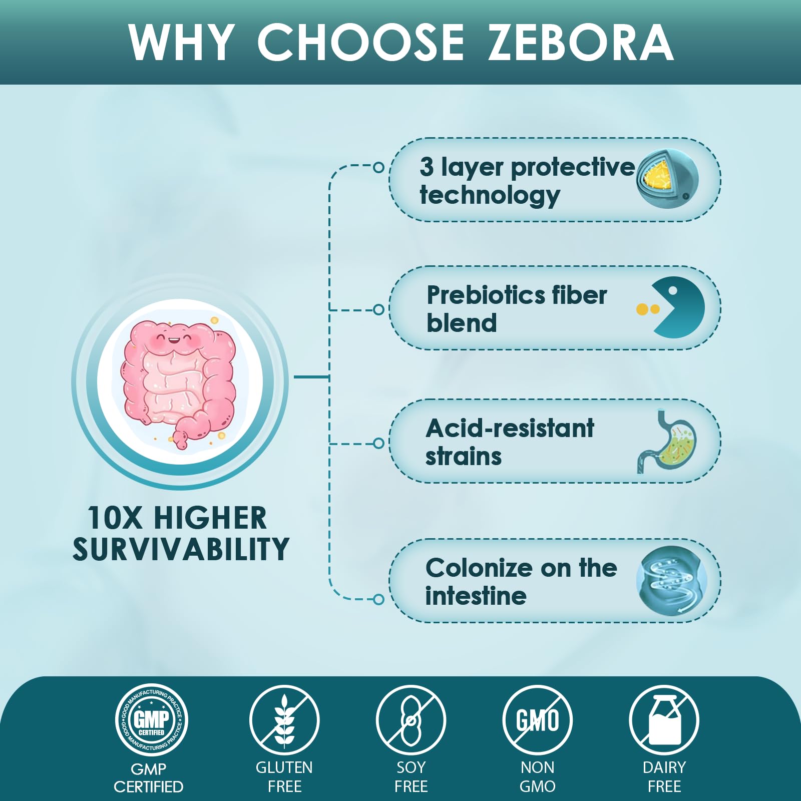 ZEBORA lista de ingredientes y cepas probióticas para transparencia