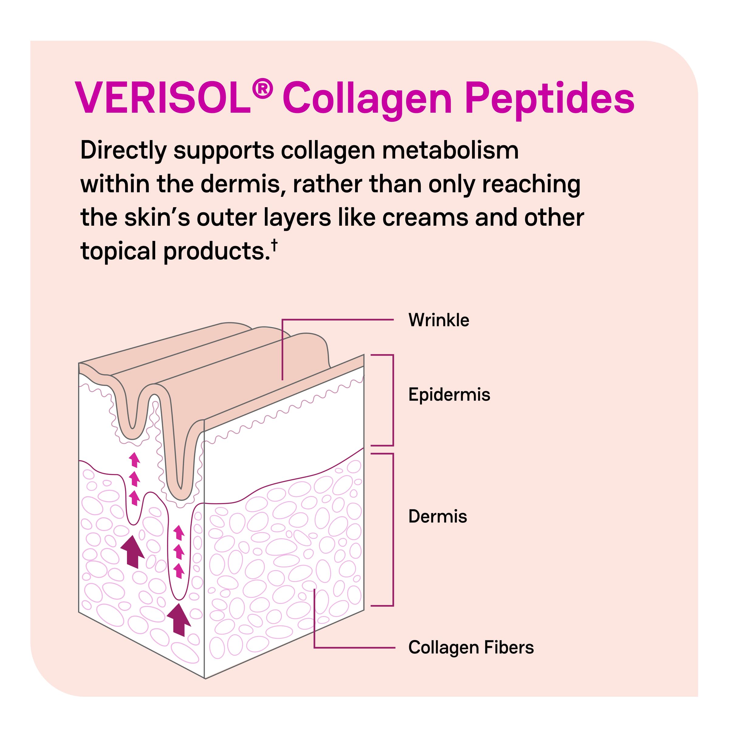 Zena Nutrition en mesa con batido, sugiere integración fácil a rutina