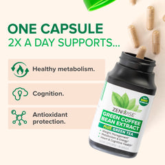 Zenwise Health cápsula en mano para demostrar tamaño y comodidad de uso