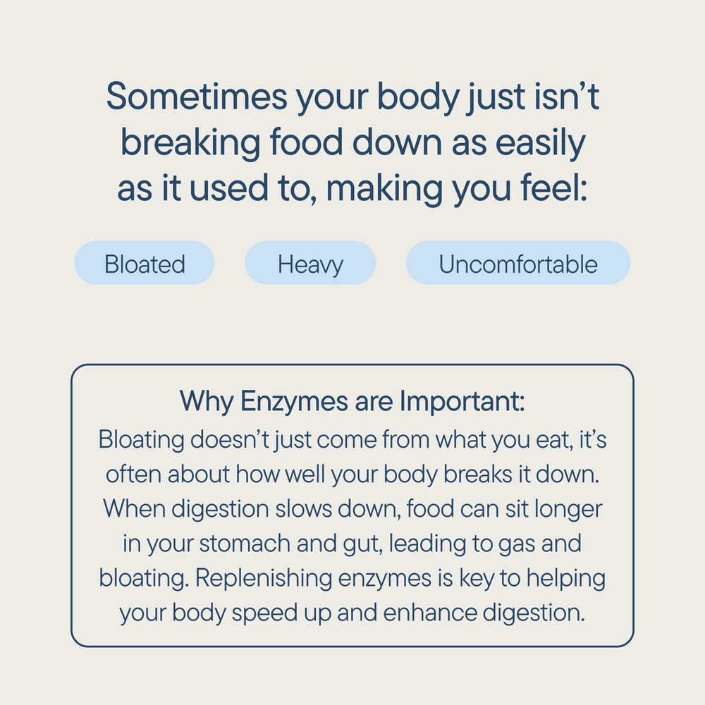 Zenwise Health gráfico de enzimas mostrando apoyo a proteínas, grasas y carbohidratos