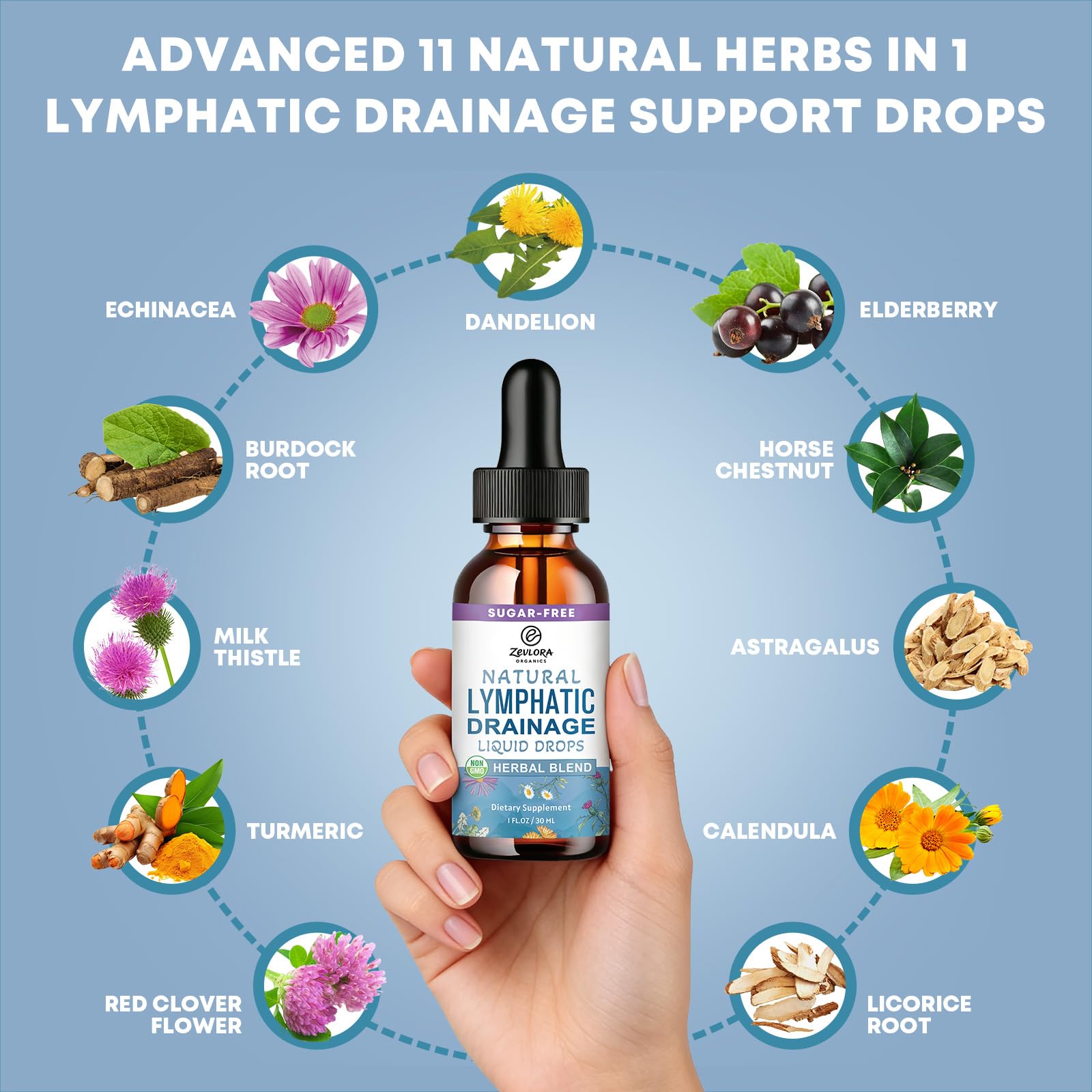 ZEVLORA ORGANICS detalle de la etiqueta con ingredientes clave y beneficios visibles
