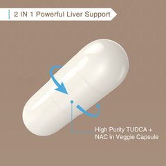 Zingicin primer plano de cápsula destacando textura y pureza