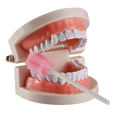 ZIZNBA vástago de papel resistente para manejo cómodo y estable