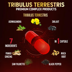 Zolotus cápsula abierta mostrando textura y formulación vegetal concentrada