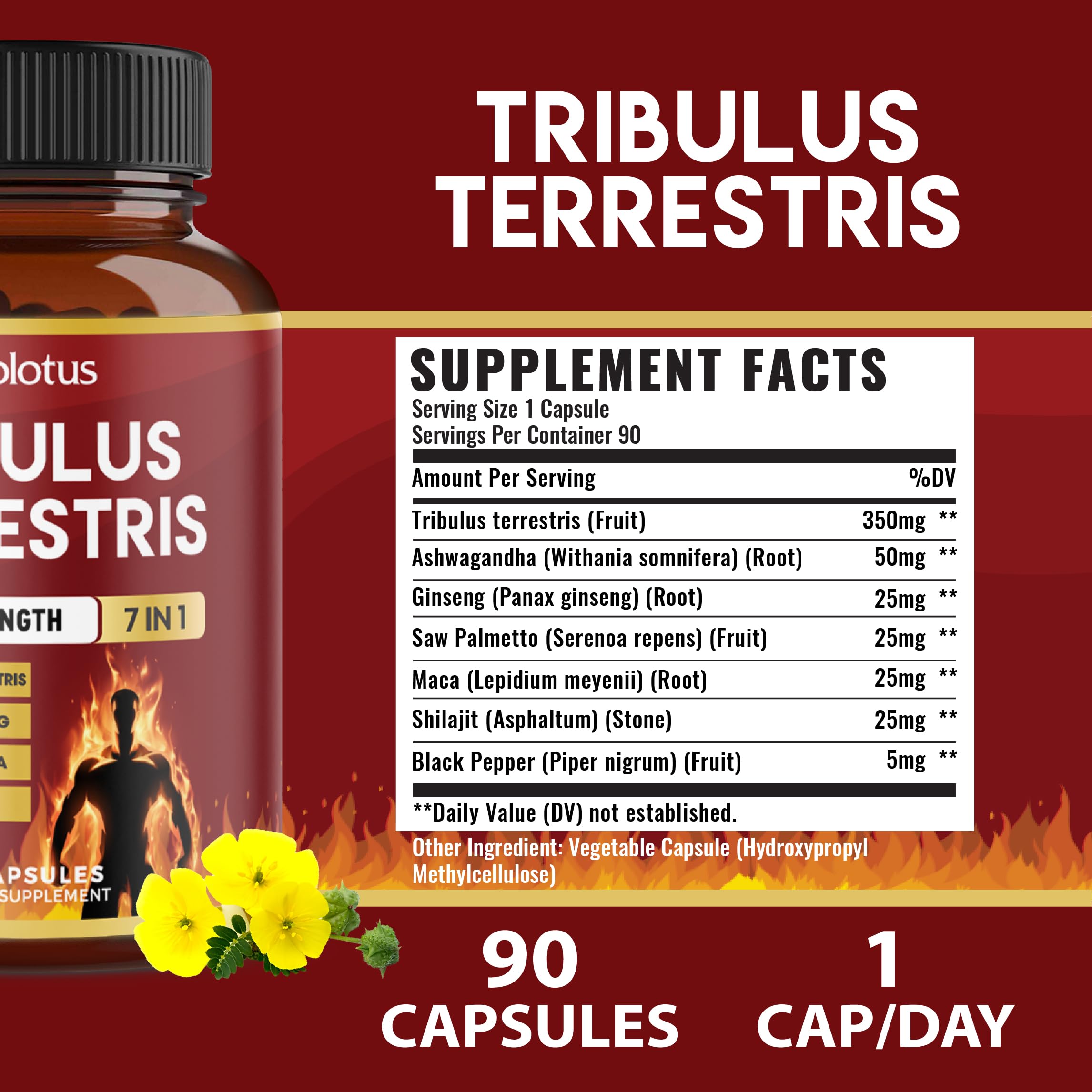 Zolotus etiqueta con ingredientes y certificación cGMP visible para confianza