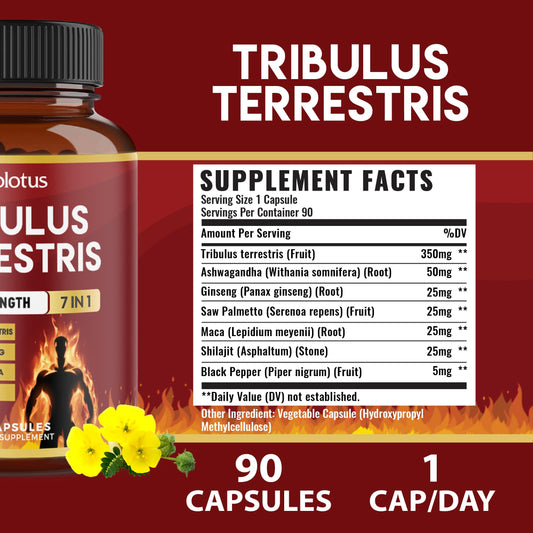 Zolotus etiqueta con ingredientes y certificación cGMP visible para confianza