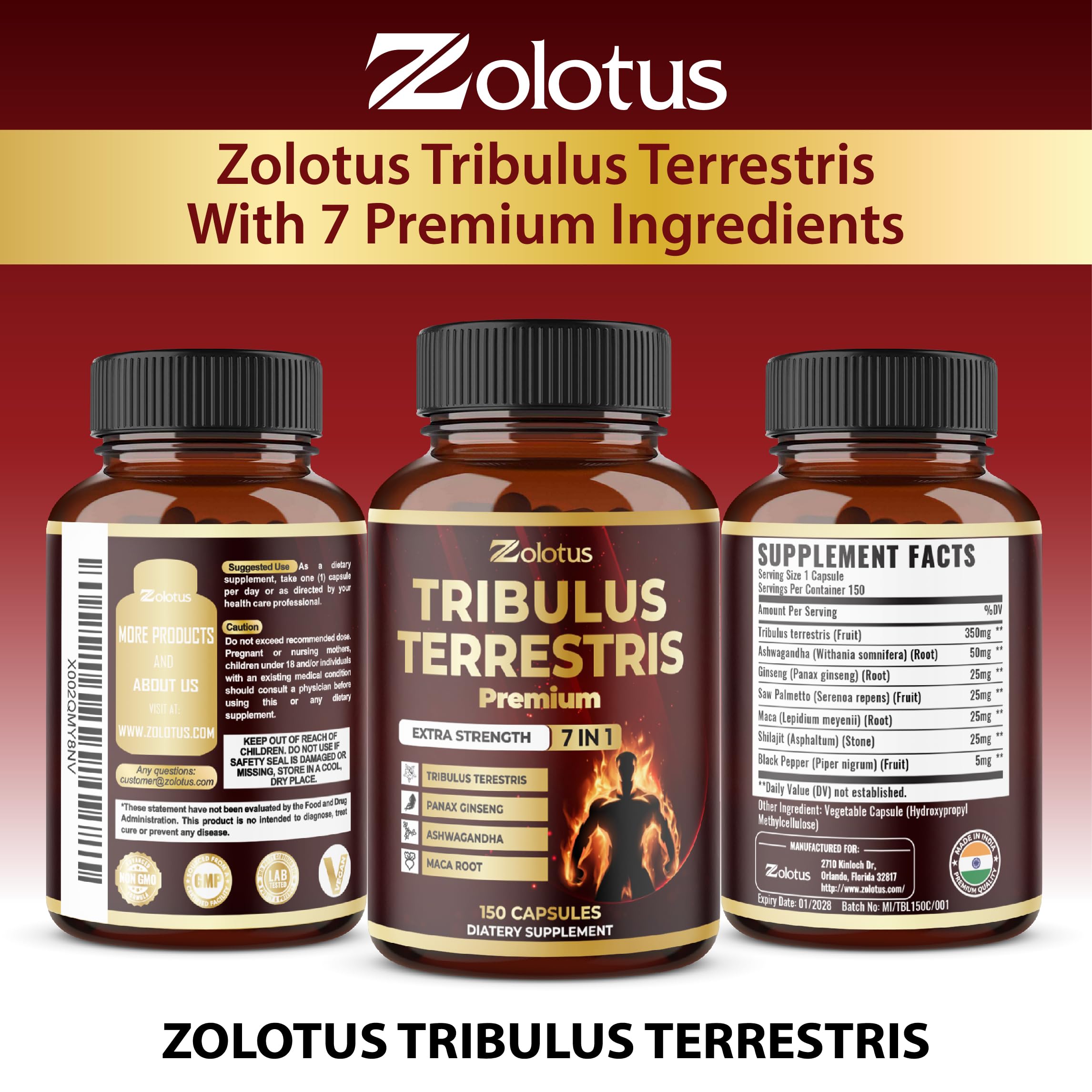 Escena de estilo de vida con Zolotus en la cocina mostrando conveniencia diaria
