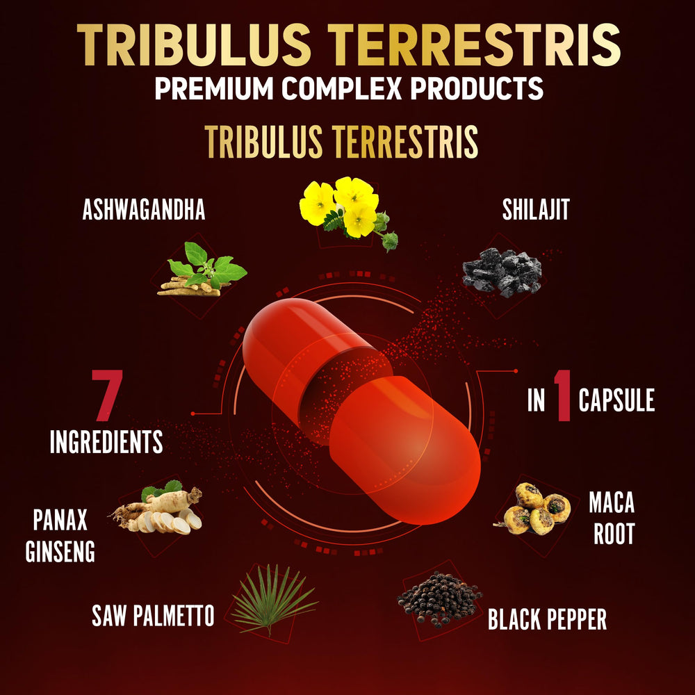 Ingredientes del suplemento Zolotus Tribulus Terrestris en presentación visual clara